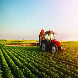 Farmers Profit Styling